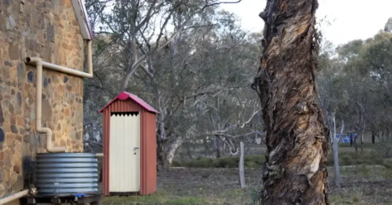 Nobody Mourns the Nightman