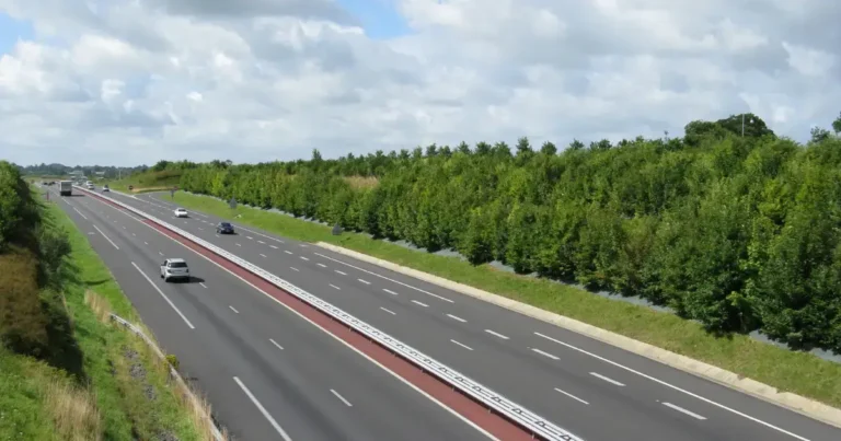 The Road We Actually Need